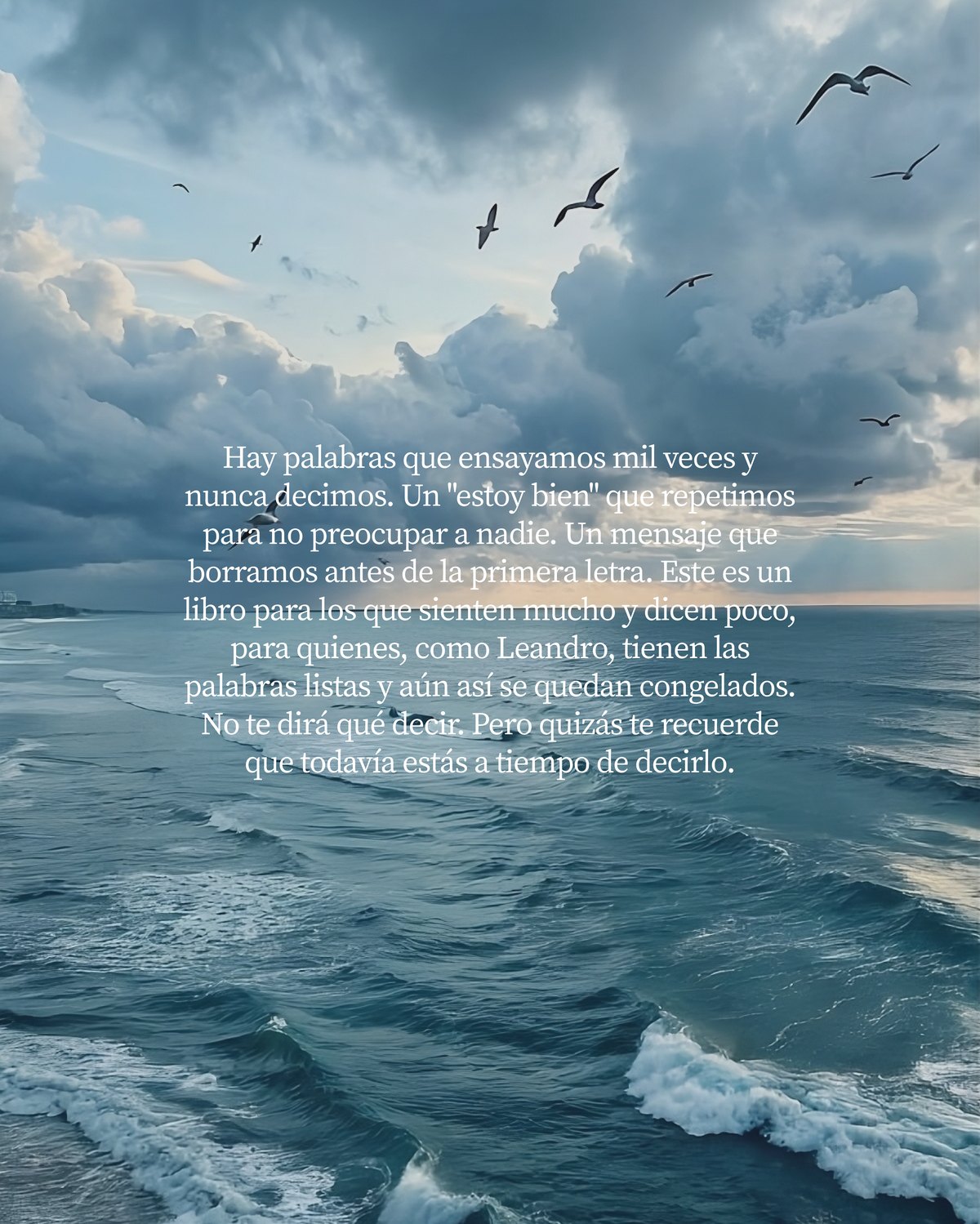 Contraportada del e-book: un texto sobre las palabras que ensayamos y nunca decimos.